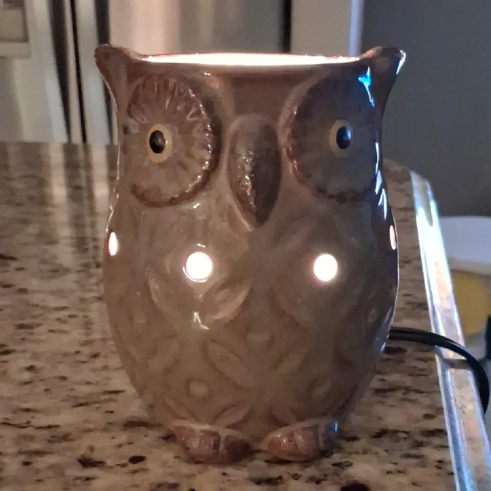 Ceramic Owl Night Light